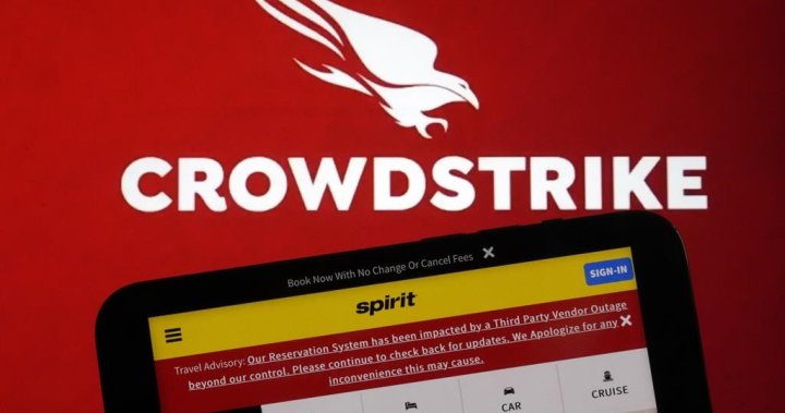 CrowdStrike shareholders sue over global outage, say company concealed info – National