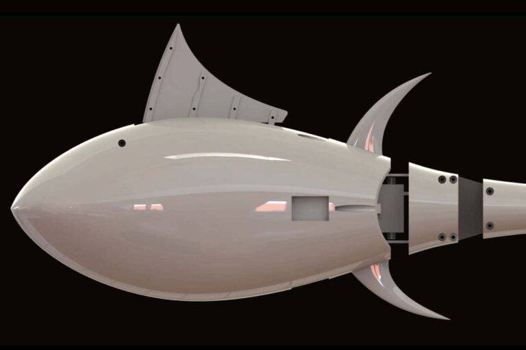 Robo-tuna reveals how foldable fins help the speedy fish manoeuvre