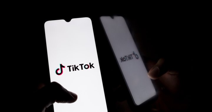 TikTok sued by 13 U.S. states, D.C., accused of harming younger users – National