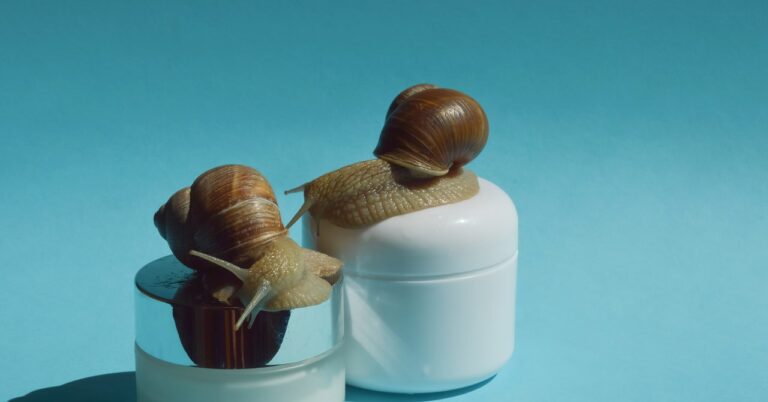 Snail Mucin Is a Skin Care Sensation With Ancient Origins