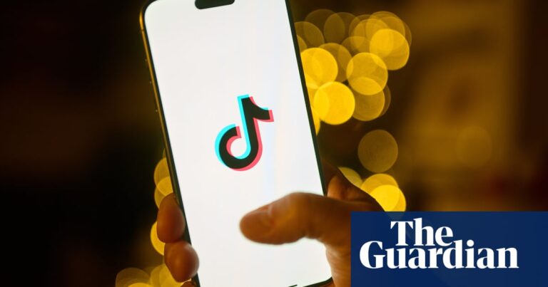 TikTok loses emergency bid to pause law that could lead to US ban | TikTok