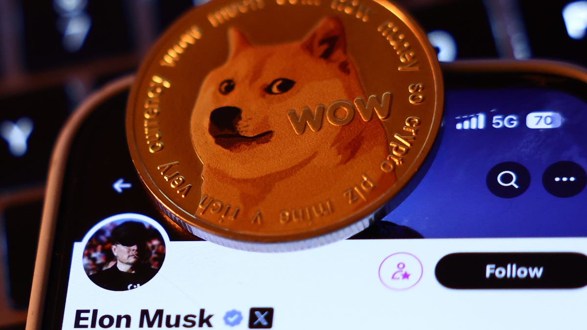 Dogecoin is a joke. Why is cryptocurrency rallying? – Complete Guide