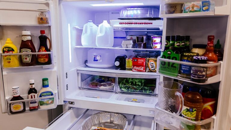 4 Common Fridge Problems and How to Fix Them